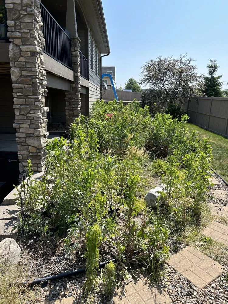 Reliable lawn mowing service experts serving Altoona, IA - 310 Lawn N Mulch