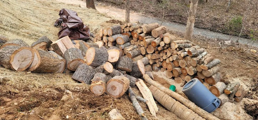 Expert garden landscaping experts serving Cherokee, NC - 312 Landscaping and Development