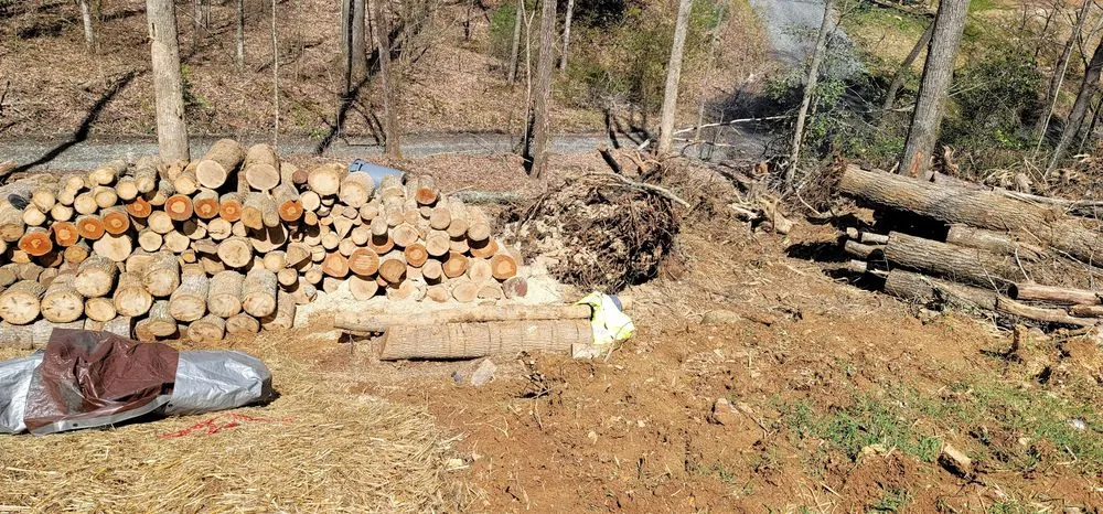 Professional yard maintenance in Cherokee, NC by 312 Landscaping and Development