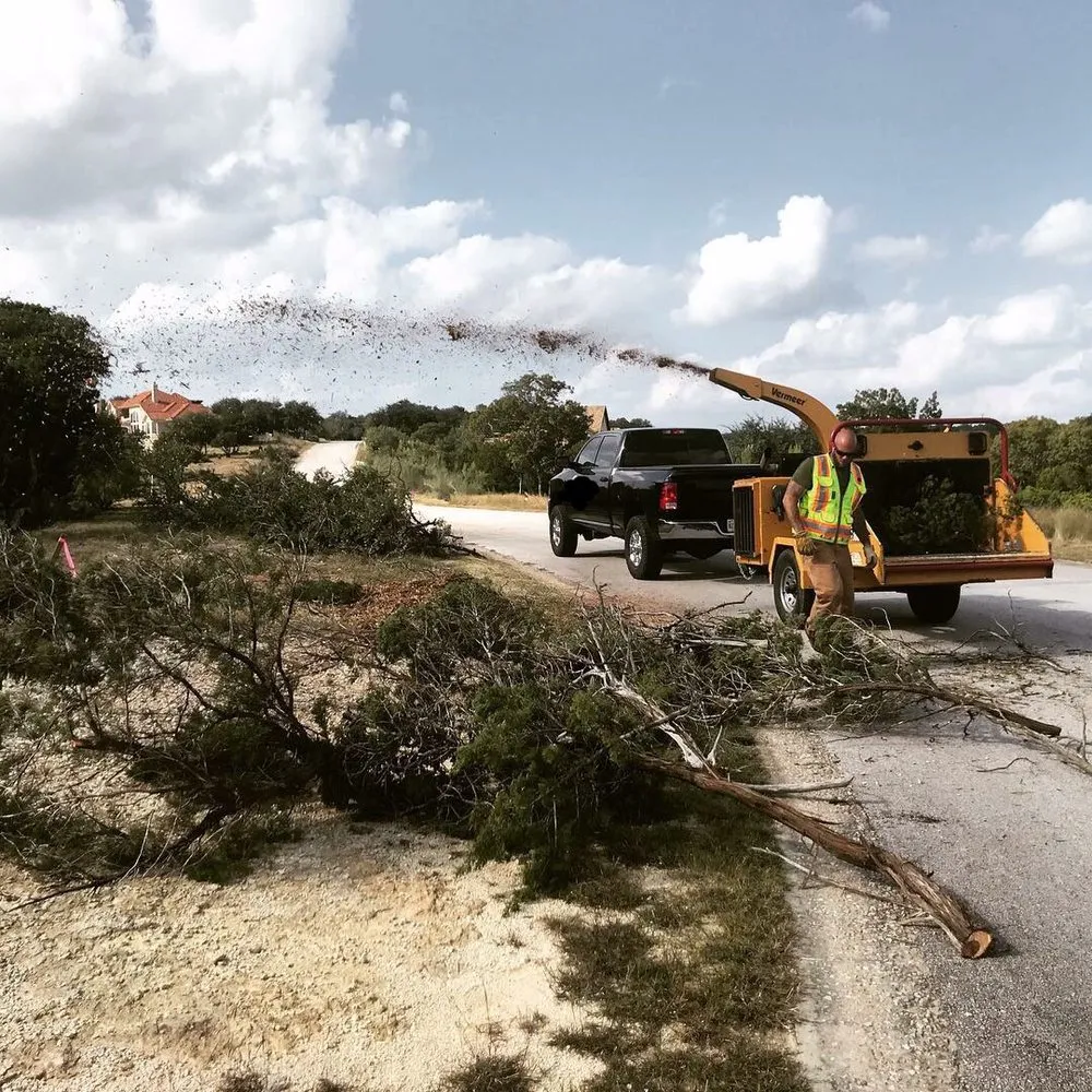 Affordable lawn care service in Cedar Park, TX - 313 Property Services