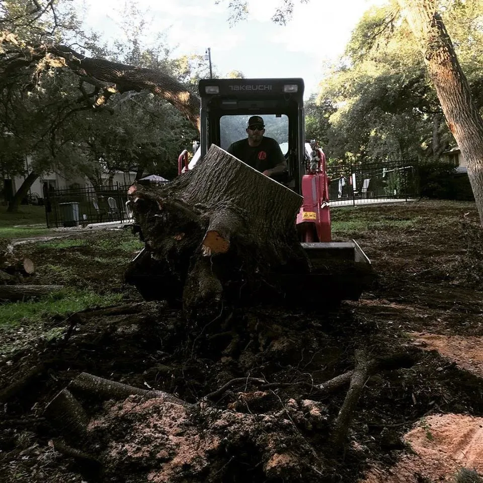 Reliable landscape design in Cedar Park, TX - 313 Property Services