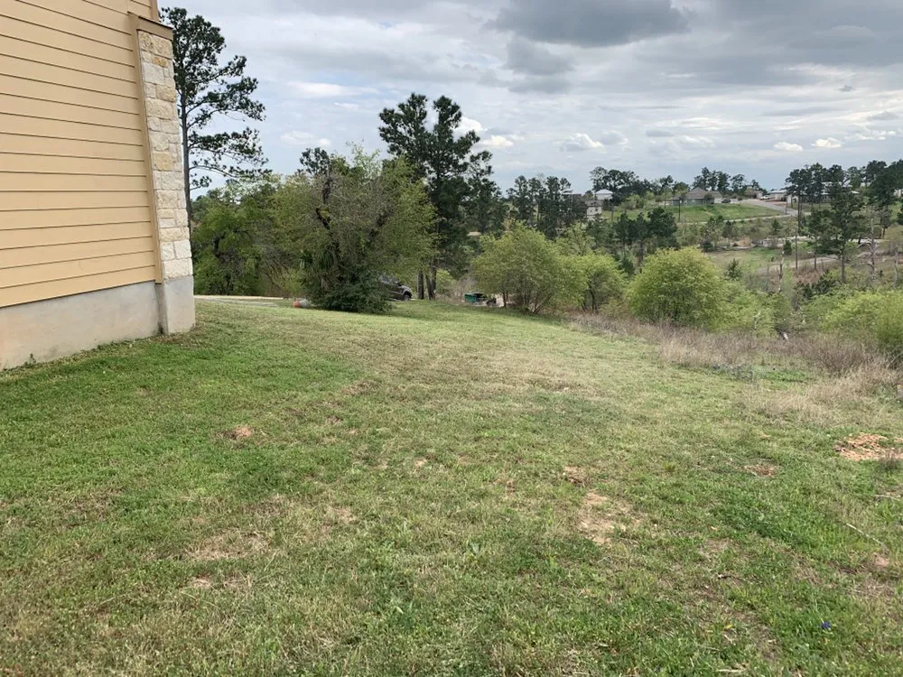 Trusted garden landscaping for residential properties across Cedar Park, TX - 313 Property Services