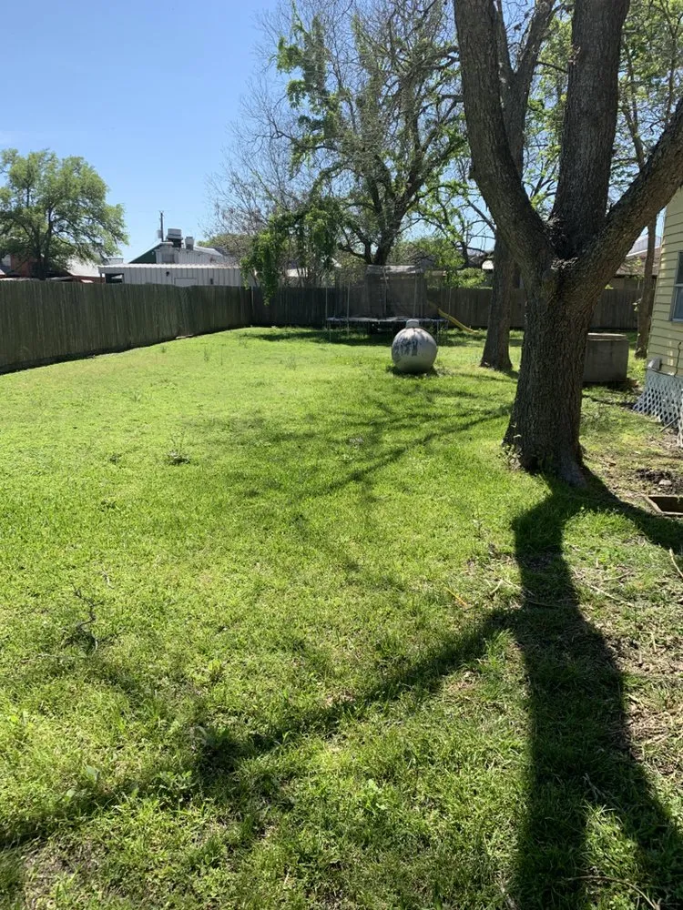 Professional landscape installation in Cedar Park, TX by 313 Property Services