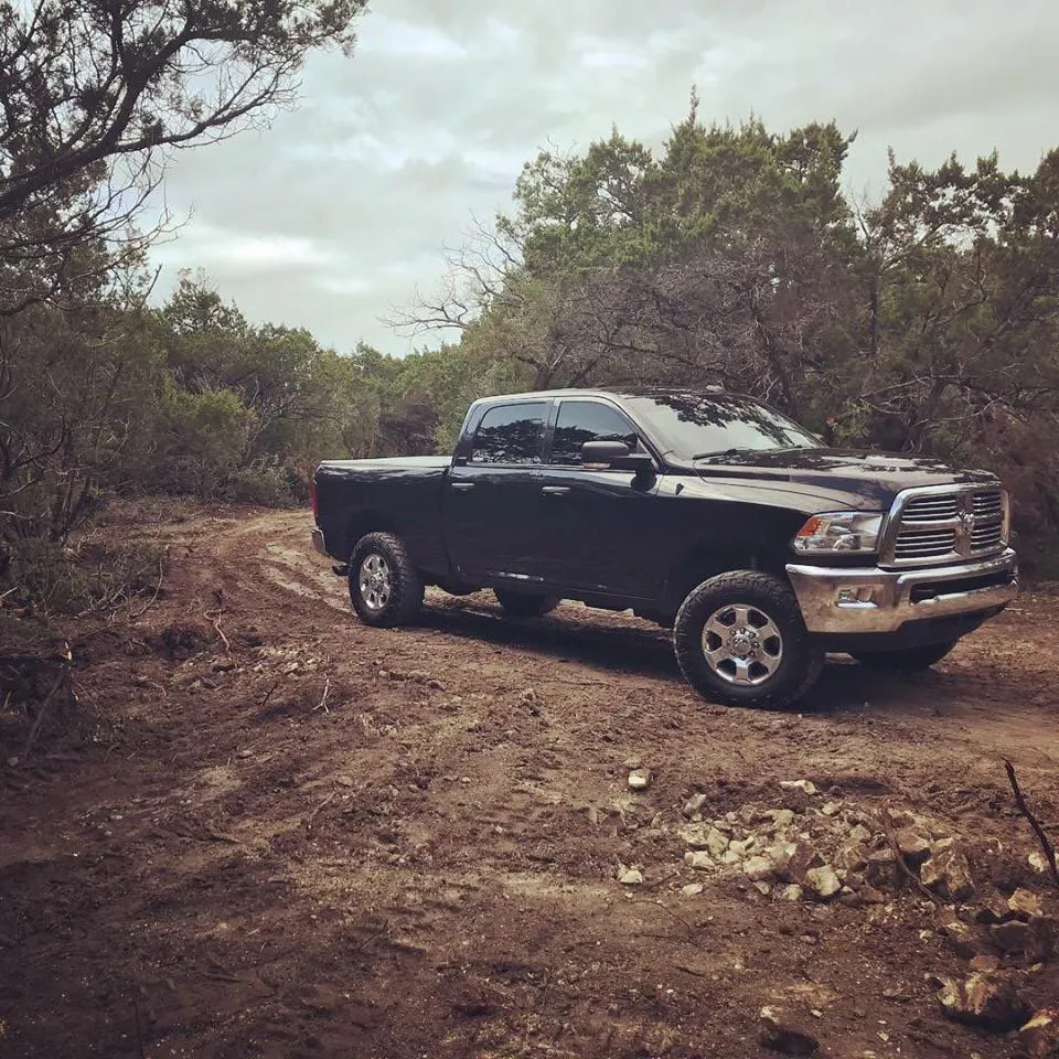 Reliable yard maintenance experts serving Cedar Park, TX - 313 Property Services