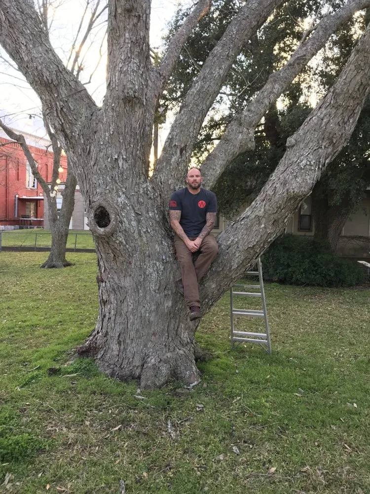 Reliable lawn mowing service experts serving Cedar Park, TX - 313 Property Services