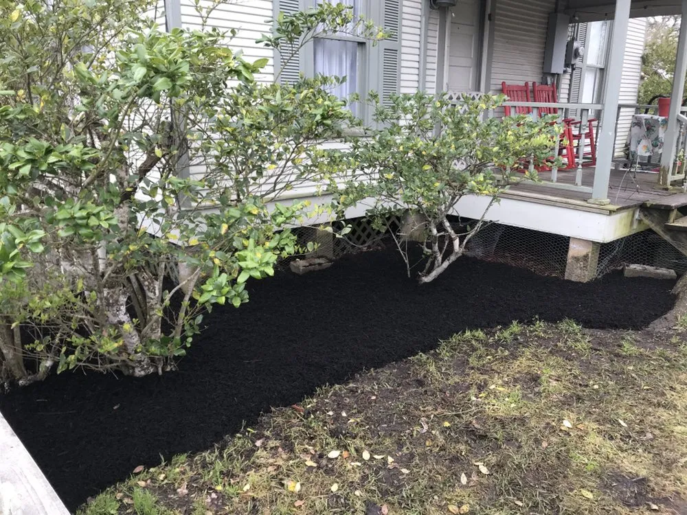 Professional landscape design near you across Cedar Park, TX - 313 Property Services