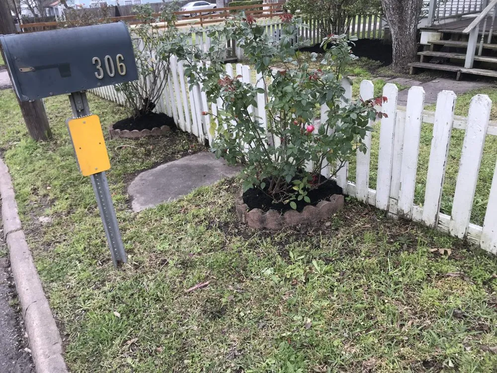 Professional lawn care service near you in Cedar Park, TX by 313 Property Services