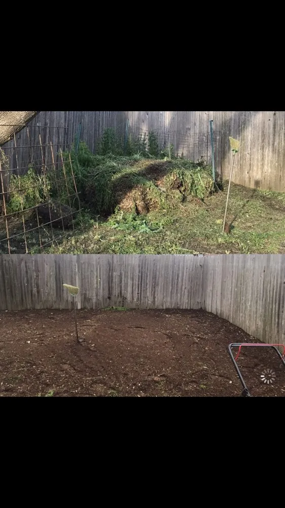 Top-rated lawn care service in Cedar Park, TX by 313 Property Services