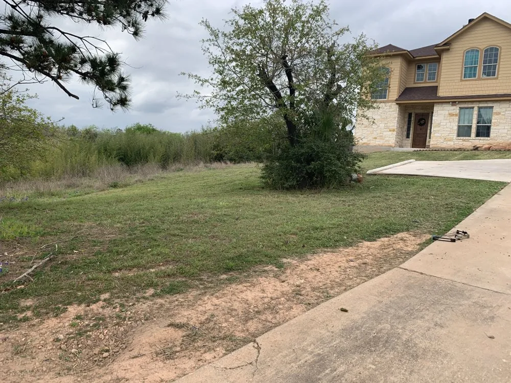 Affordable lawn care service in Cedar Park, TX - 313 Property Services