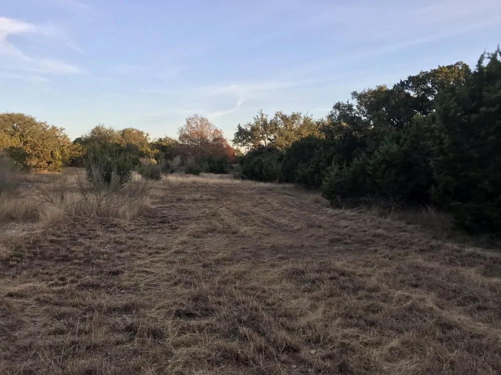 Reliable landscape installation experts serving Cedar Park, TX - 313 Property Services