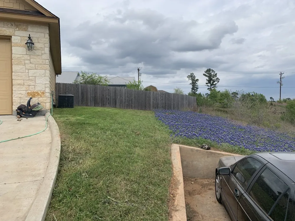 Expert landscape installation experts serving Cedar Park, TX - 313 Property Services