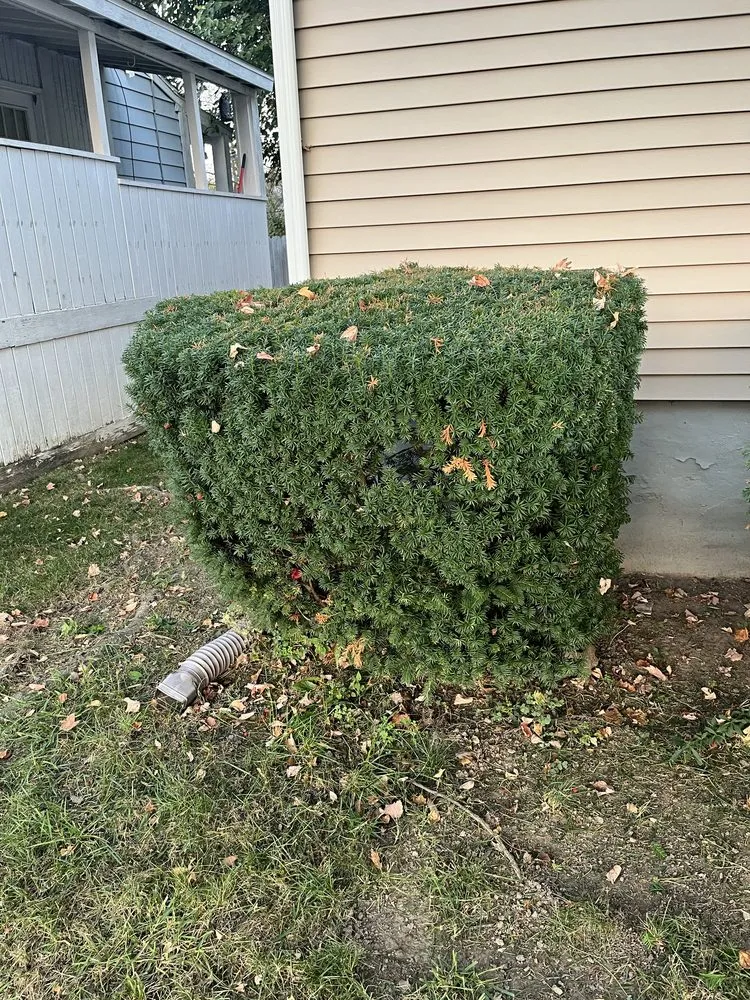 Expert lawn care service in Syracuse, NY - 315 Krunch Time