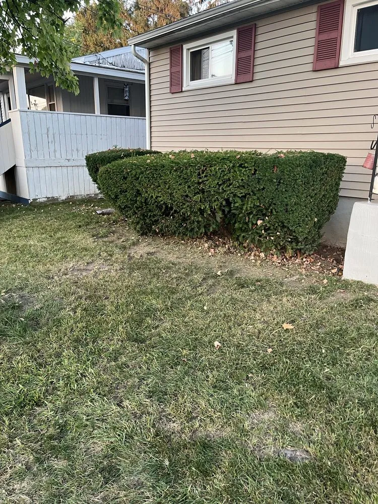 Local landscape installation for outdoor upgrades across Syracuse, NY - 315 Krunch Time