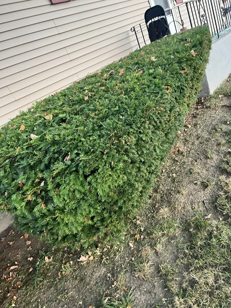 Trusted garden landscaping for beautiful yards across Syracuse, NY - 315 Krunch Time