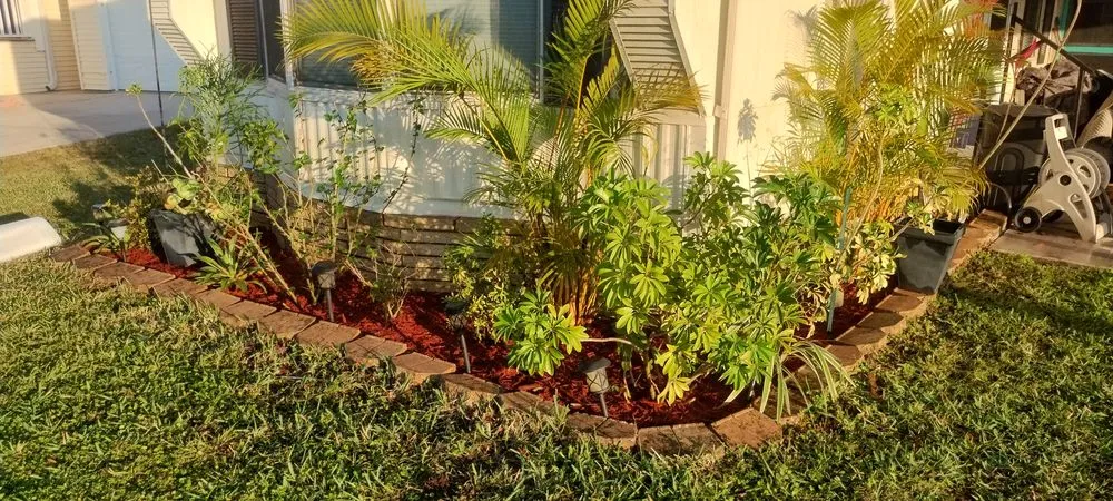 Affordable lawn care service for year-round maintenance across Plant City, FL - 316 Landscaping Design