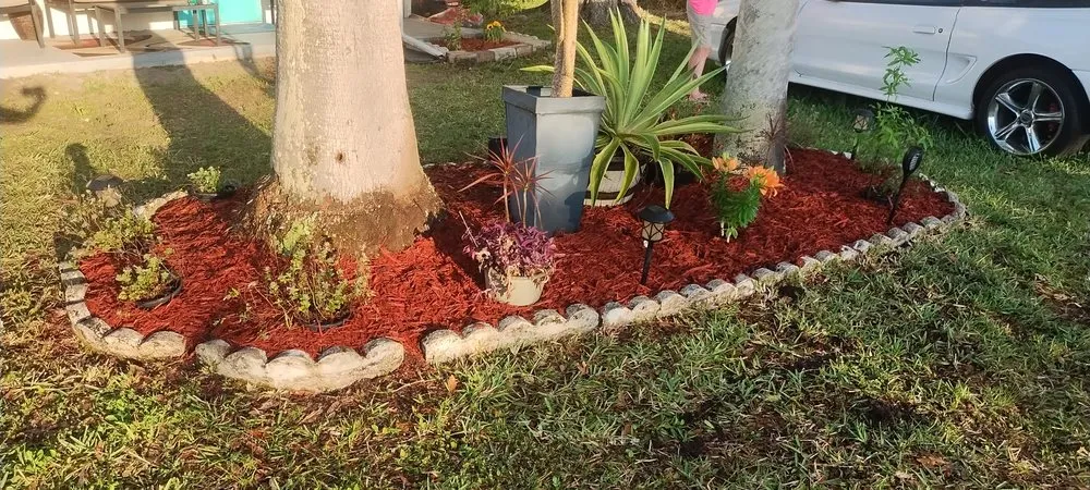 Top-rated landscape installation in Plant City, FL - 316 Landscaping Design