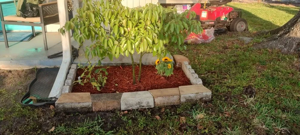Trusted landscaping services experts serving Plant City, FL - 316 Landscaping Design