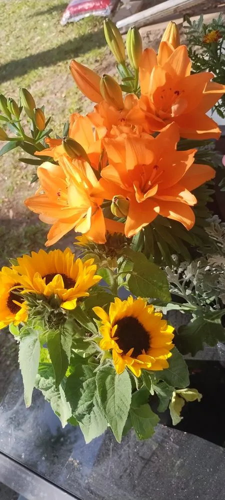 Top-rated outdoor landscaping experts serving Plant City, FL - 316 Landscaping Design