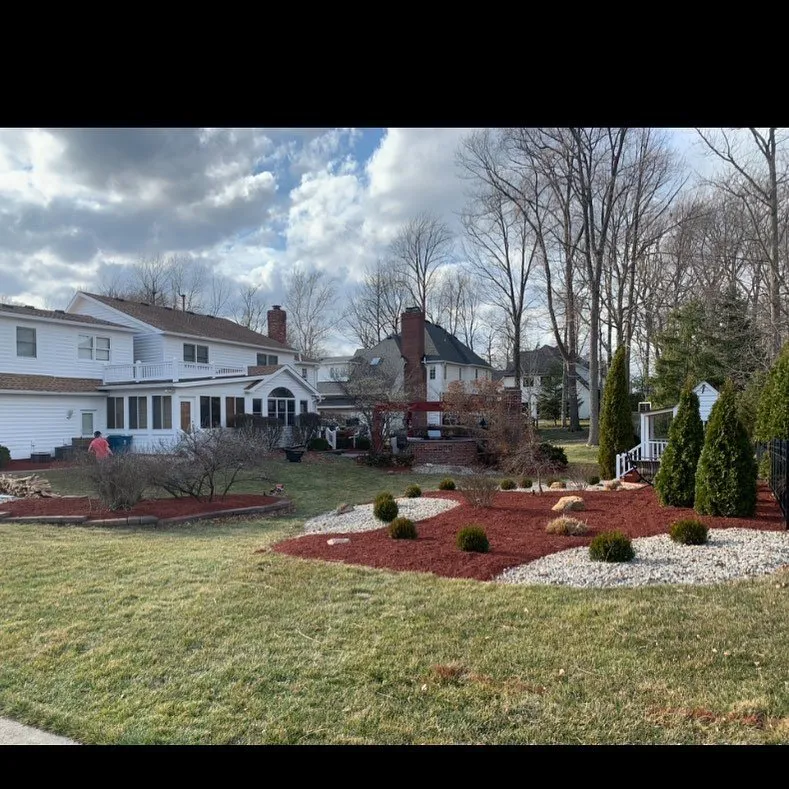 Top-rated yard cleanup service in Indianapolis, IN by 317 Lawn Services