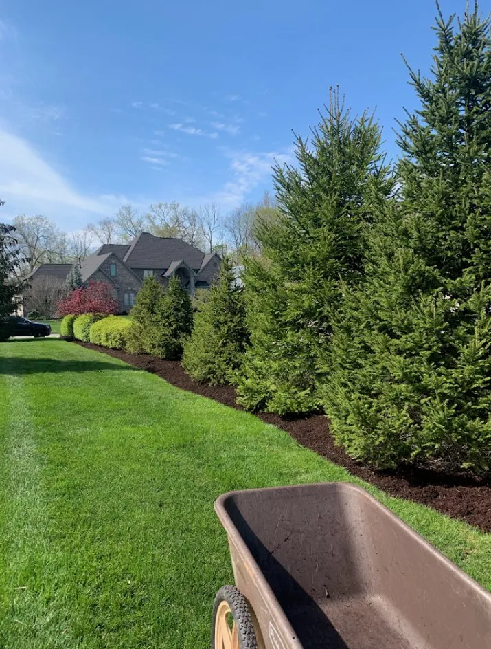 Affordable lawn mowing service in Indianapolis, IN - 317 Lawn Services