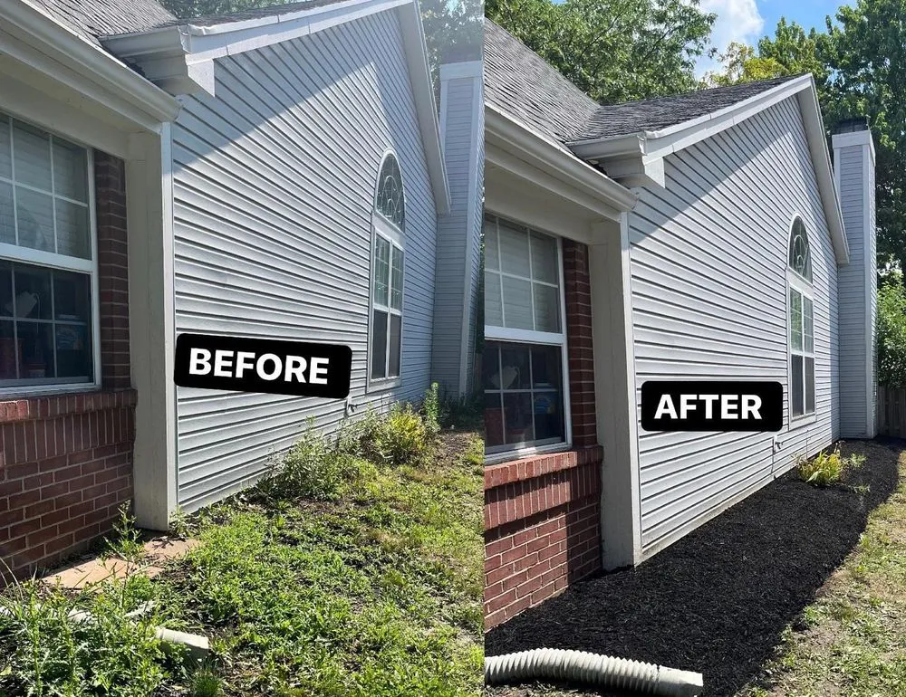 Trusted yard cleanup service in Indianapolis, IN by 317 Lawn Services