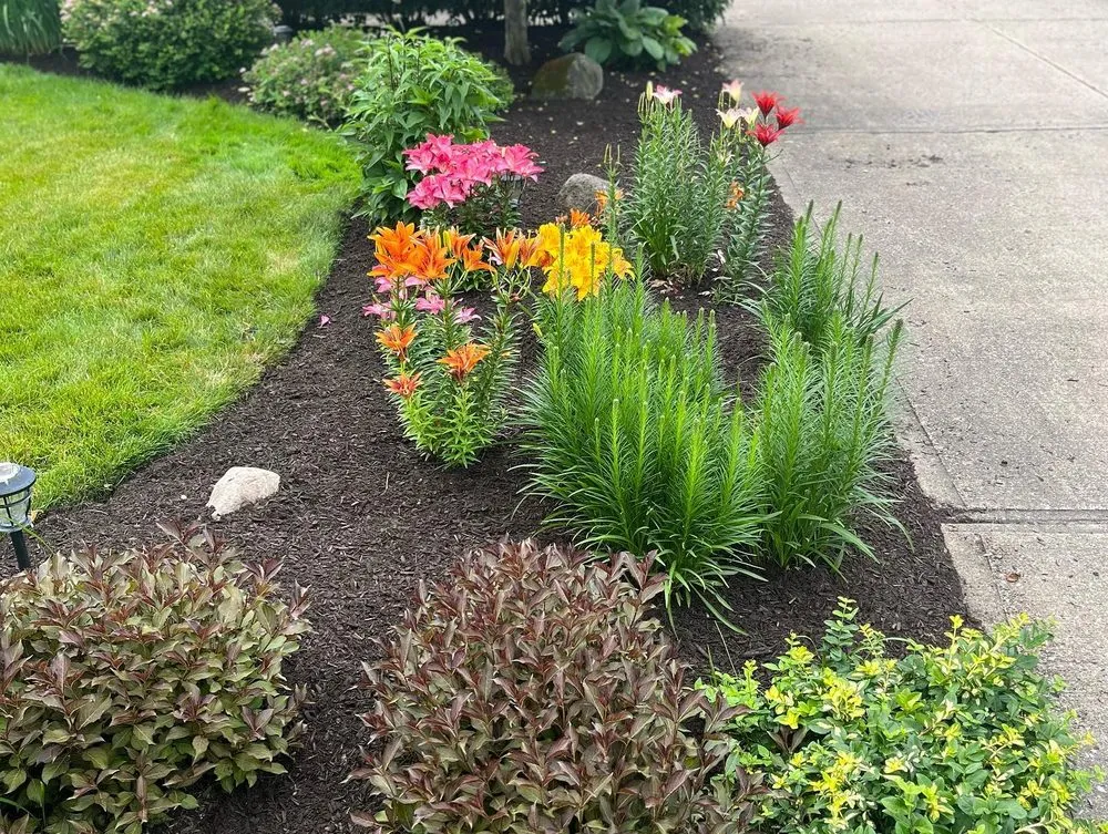 Professional lawn mowing service in Indianapolis, IN - 317 Lawn Services