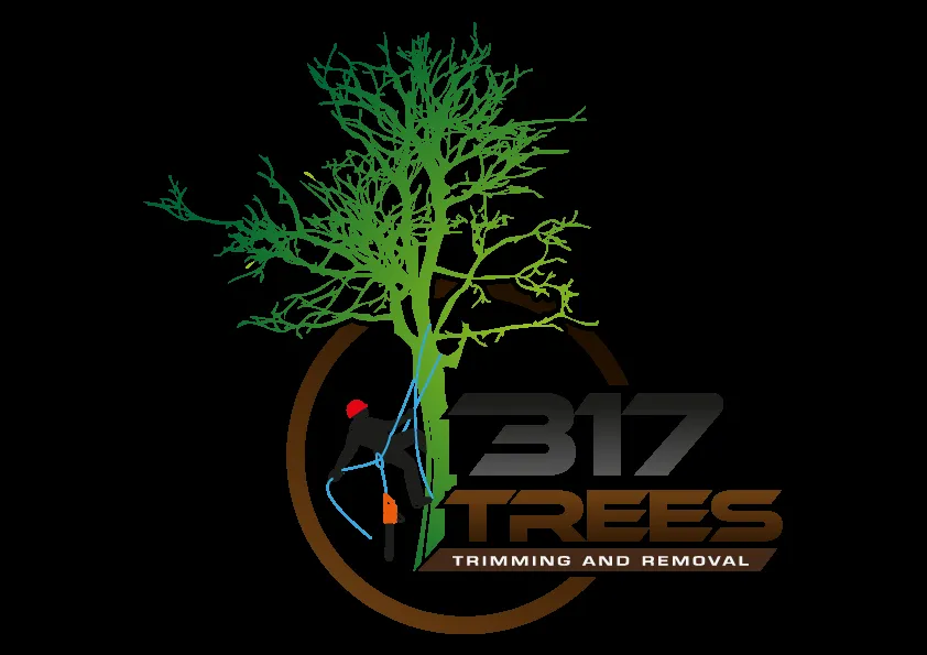 Trusted landscaping services for outdoor upgrades in Indianapolis, IN by 317 Trees