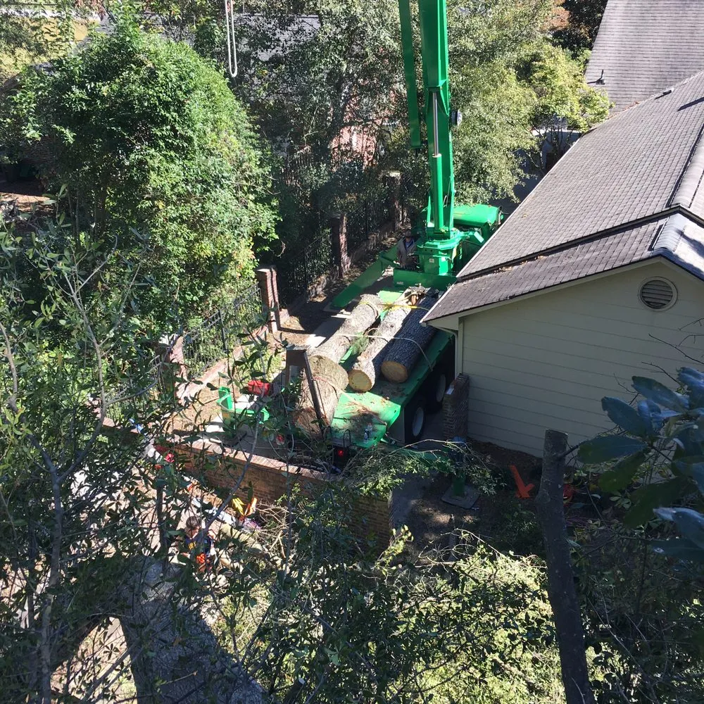 Reliable landscape design for homes in Indianapolis, IN by 317 Trees