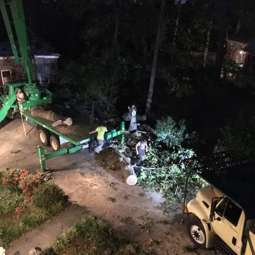 Professional garden landscaping in Indianapolis, IN - 317 Trees