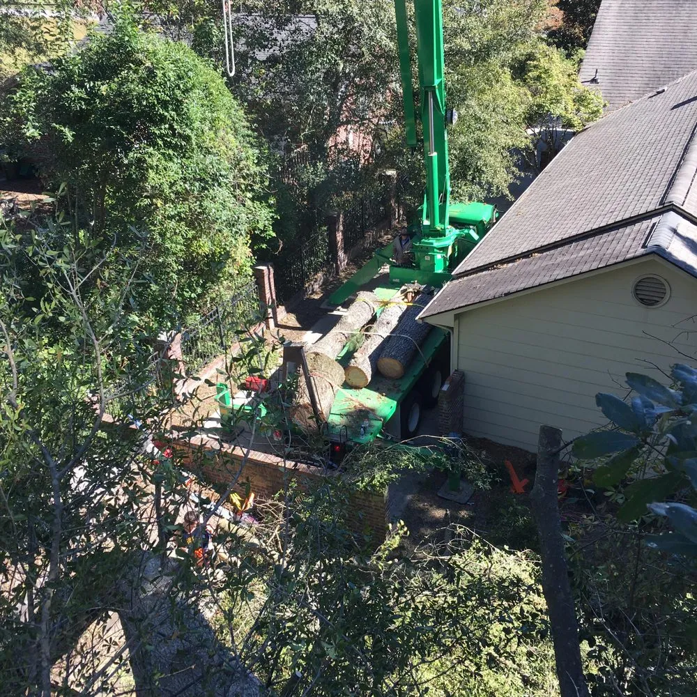 Local landscaping services near you across Indianapolis, IN - 317 Trees