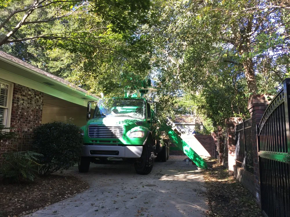 Local yard maintenance in Indianapolis, IN - 317 Trees