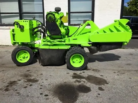 Professional yard cleanup service in Indianapolis, IN - 317 Trees