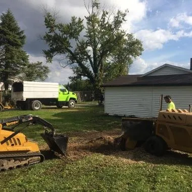 Affordable lawn care service experts serving Indianapolis, IN - 317 Trees