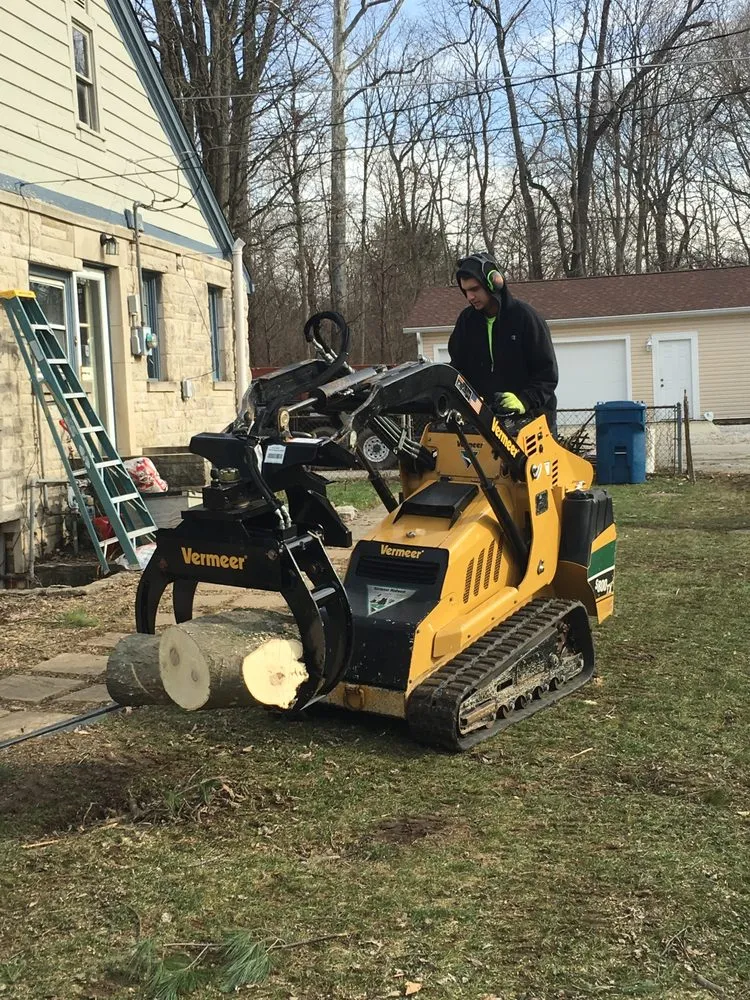 Professional lawn care service in Indianapolis, IN by 317 Trees