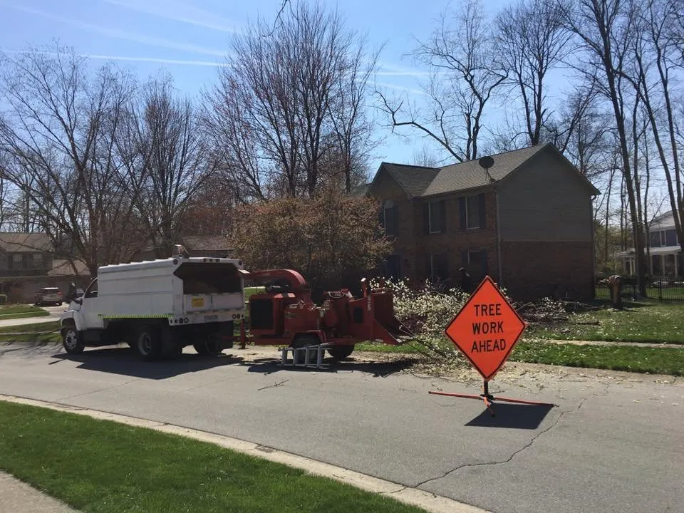 Local lawn mowing service near you across Indianapolis, IN - 317 Trees