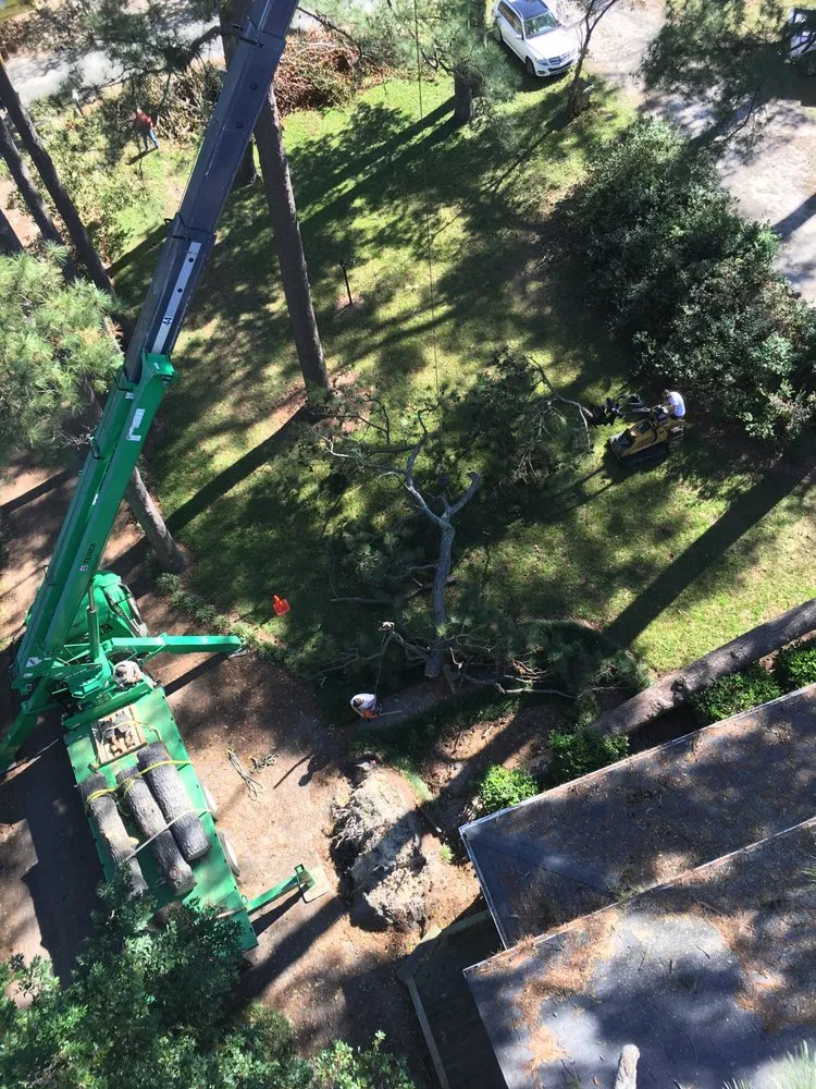 Custom lawn mowing service in Indianapolis, IN - 317 Trees