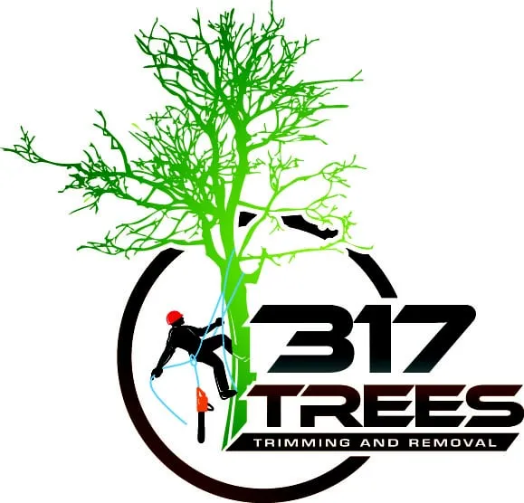 Reliable yard maintenance near you in Indianapolis, IN by 317 Trees