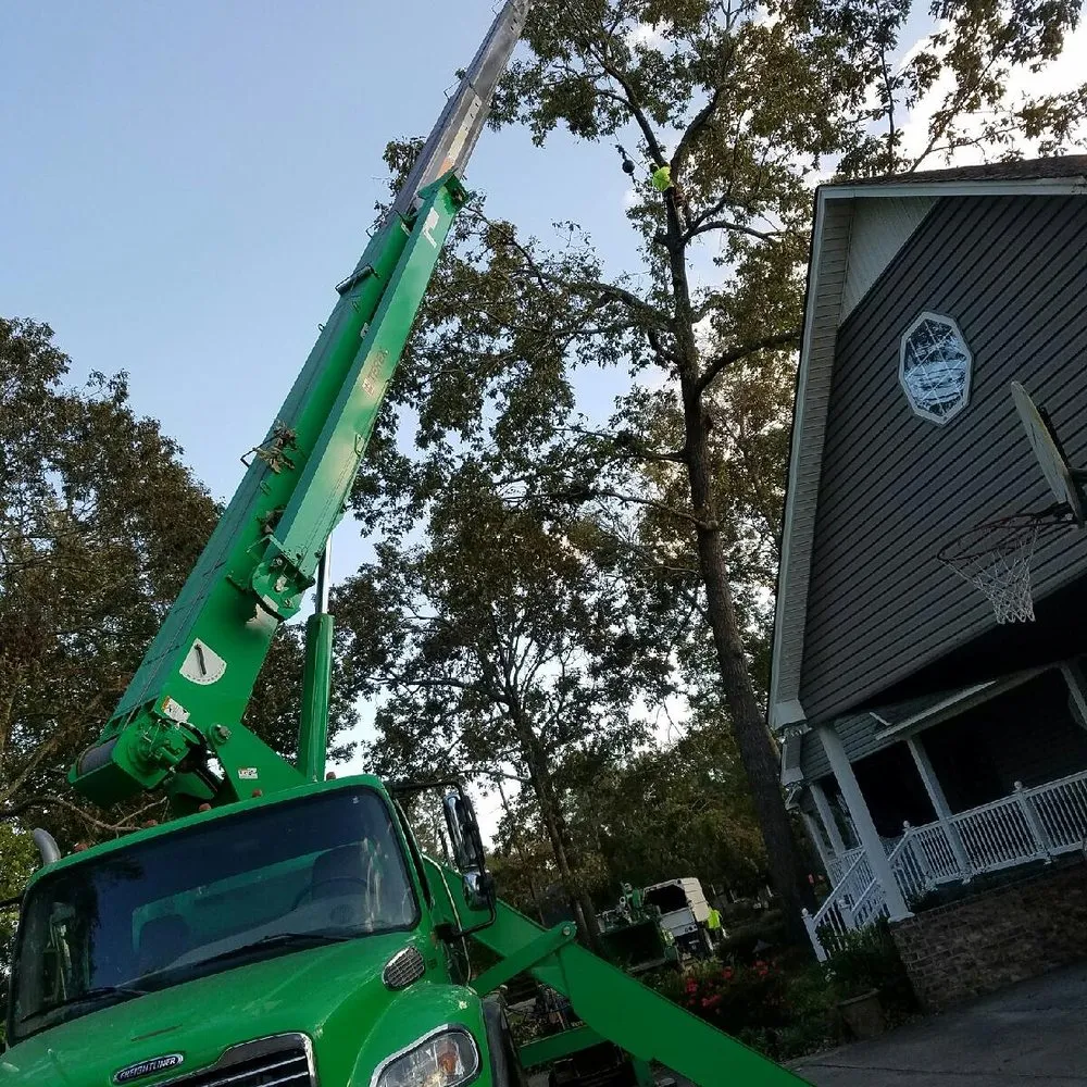 Trusted yard maintenance in Indianapolis, IN by 317 Trees