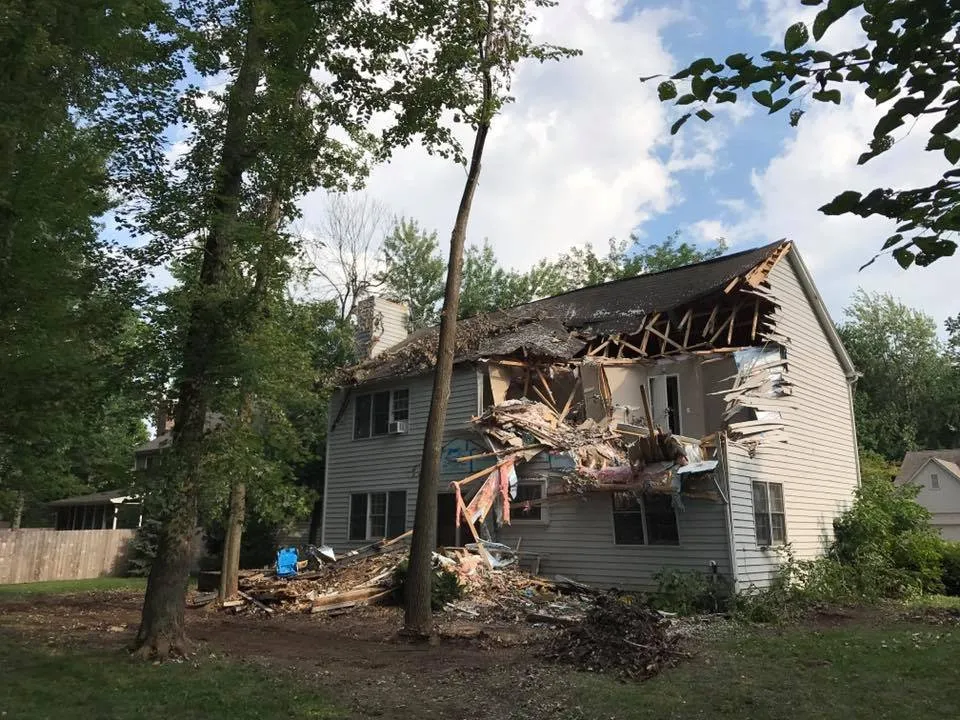 Expert yard cleanup service in Indianapolis, IN by 317 Trees