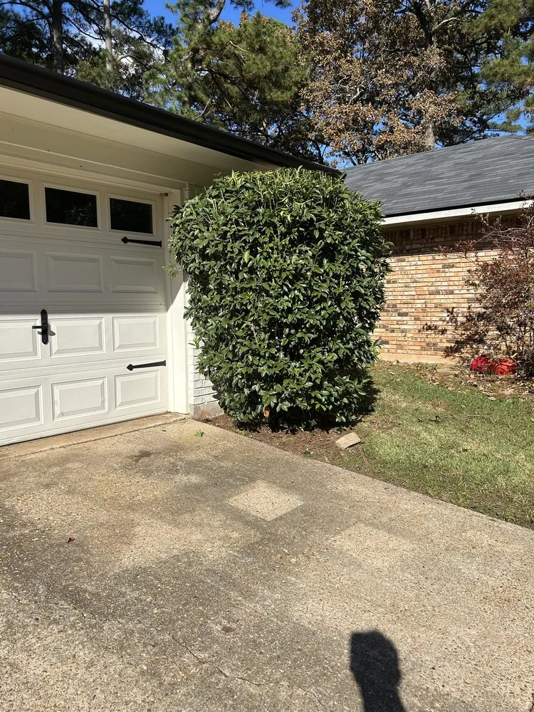 Top-rated yard maintenance in Bossier City, LA by 318 Move and Remove