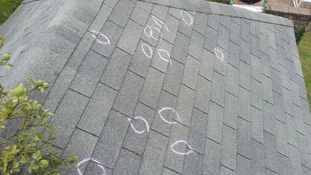 Affordable outdoor landscaping experts serving Melbourne, FL - 321 Home Solutions