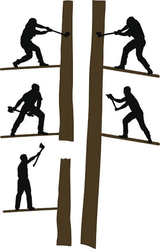 Trusted residential landscaping experts serving Melbourne, FL - 321 Home Solutions