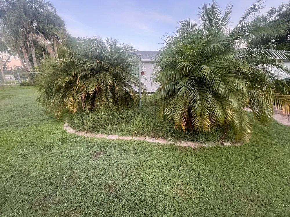 Reliable landscaping services for homes in West Melbourne, FL by 321 Outdoor Services