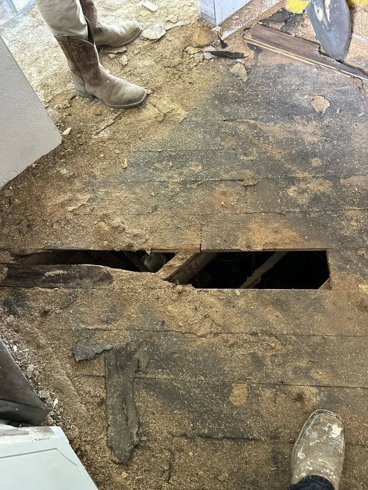 Top-rated lawn care service experts serving Paragould, AR - 3:23 Landscaping & Construction