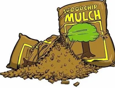 Custom garden landscaping for beautiful yards in Tampa, FL by 33626 Lawn Care