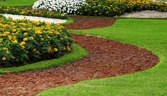 Professional yard cleanup service experts serving Tampa, FL - 33626 Lawn Care