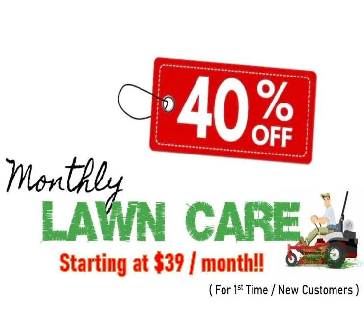 Expert residential landscaping in Tampa, FL - 33626 Lawn Care