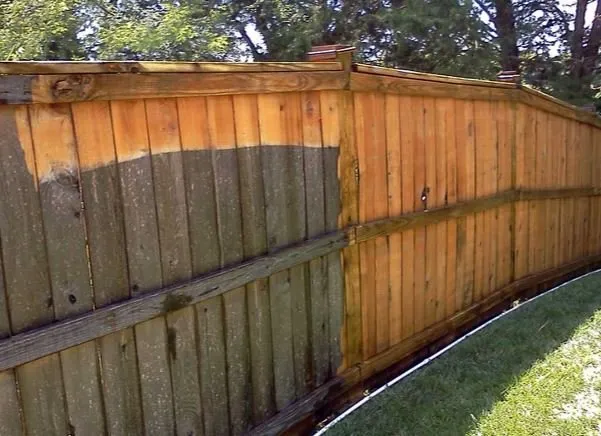 Professional garden landscaping for beautiful yards across Tampa, FL - 33626 Lawn Care