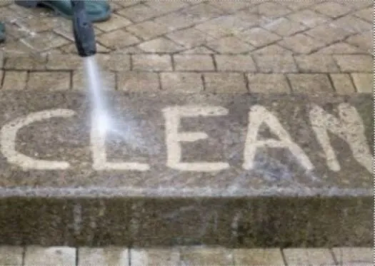 Top-rated yard cleanup service for beautiful yards in Tampa, FL by 33626 Lawn Care