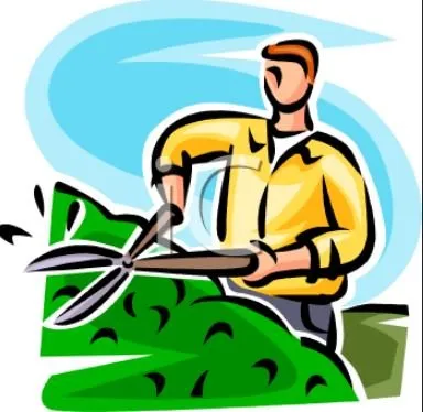 Affordable landscaping services in Tampa, FL - 33626 Lawn Care